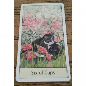 Cat's Eye Tarot