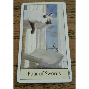 Cat's Eye Tarot
