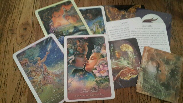 Whisper Of Love Oracle dan Animal Spirit Knowledge Cards