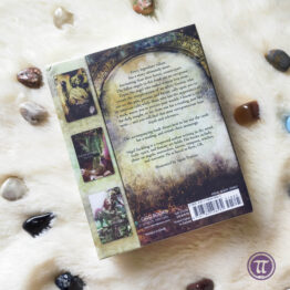 Fallen Angel Oracle Cards