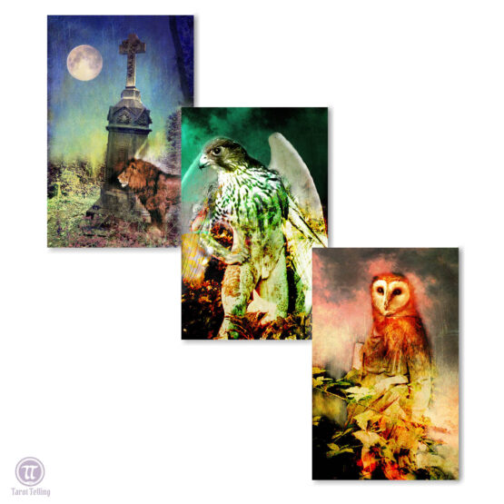 Fallen Angel Oracle Cards