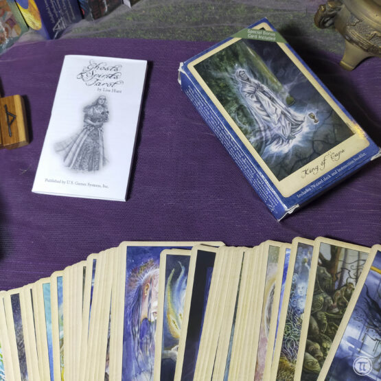 Ghosts & Spirits Tarot (PreLoved)
