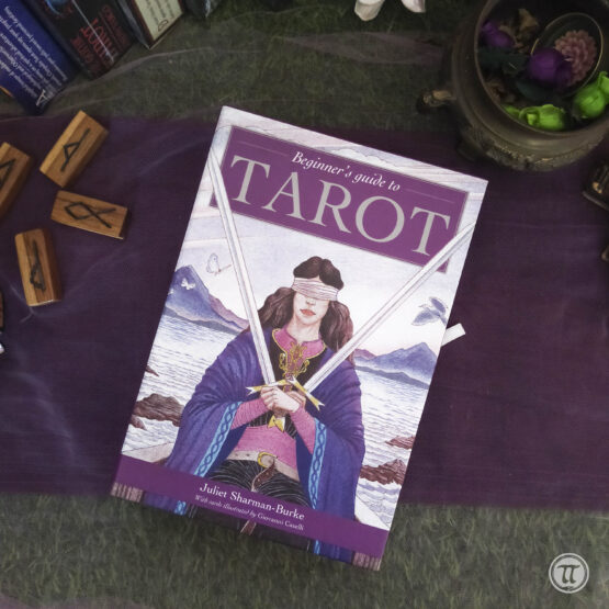 Beginner's Guide to Tarot (PreLoved)